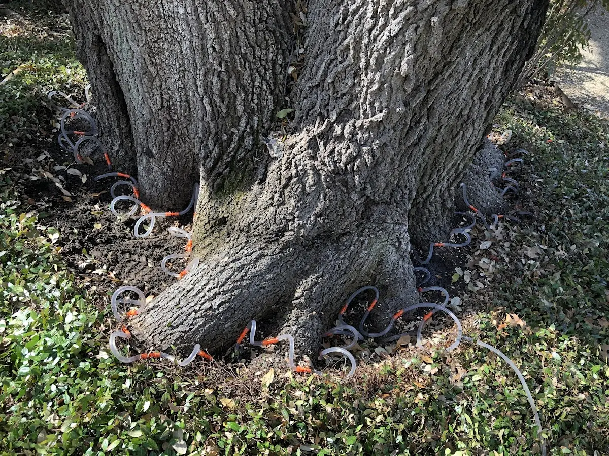 Detailed Shrub and Hedge Trimming job site in Gowen